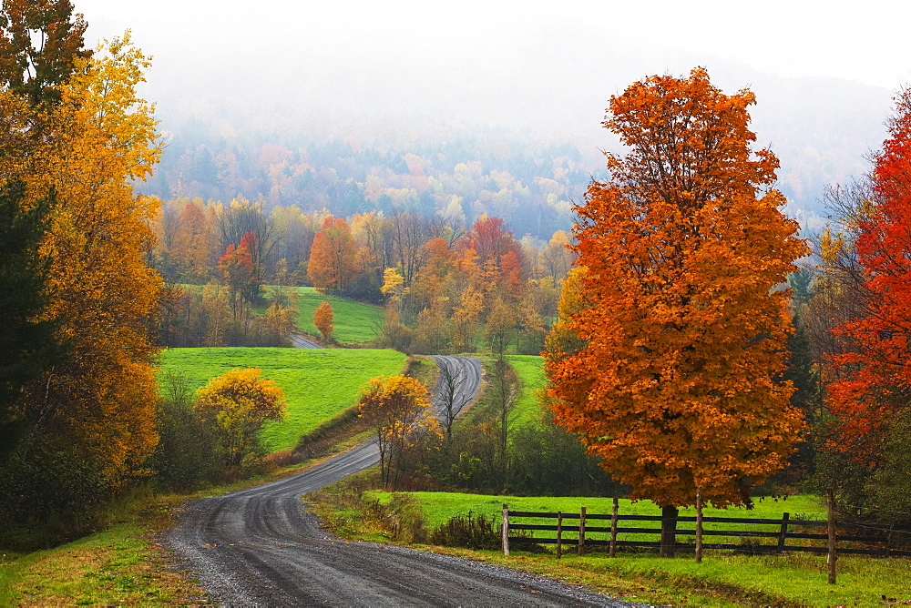 Dirt Road In Autumn With Early Morning Fog, Iron Hill, Quebec, Canada