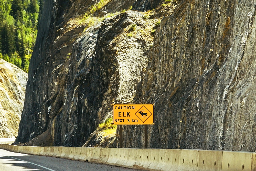 A Sign Warns Of Elk On A Highway In The Rocky Mountains, Golden, British Columbia, Canada