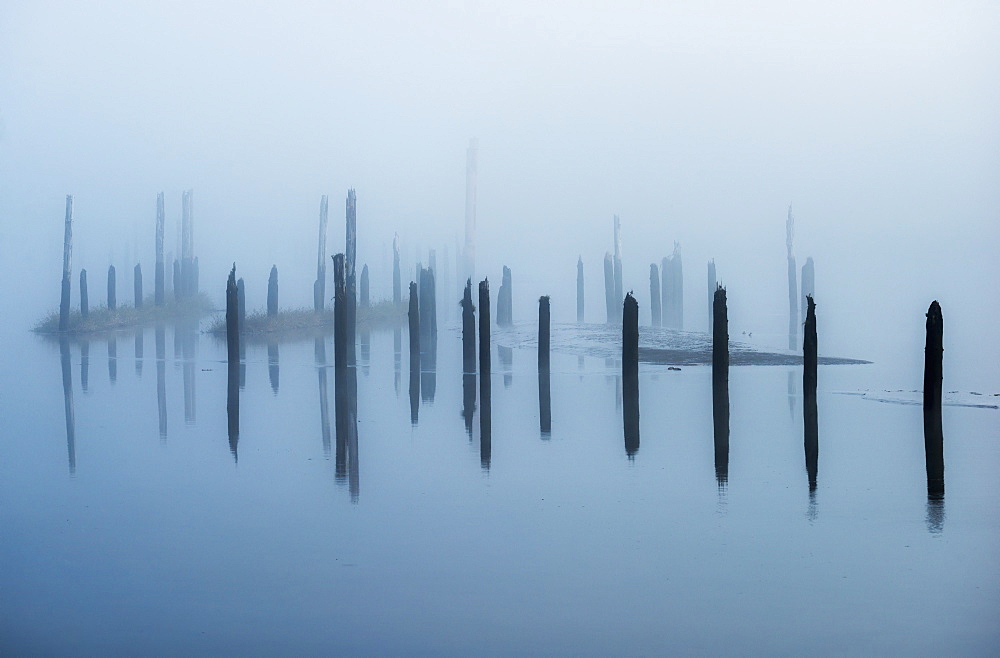 Old Pilings Disappear Into The Mist, Astoria, Oregon, United States Of America