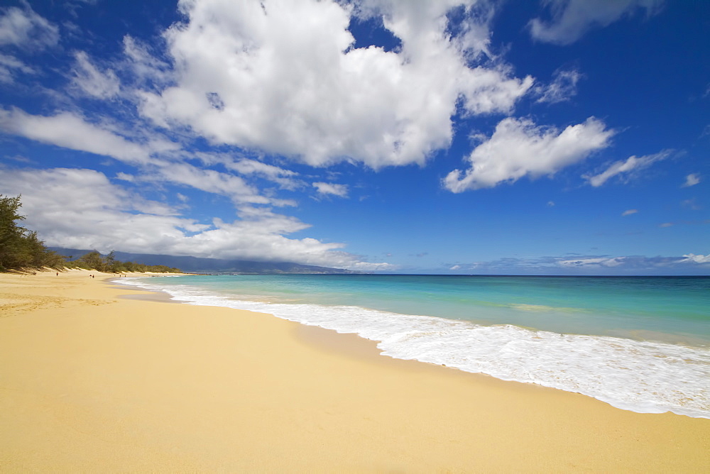 Baldwin Beach On The North Shore Of Maui, Paia, Maui, Hawaii, United States Of America