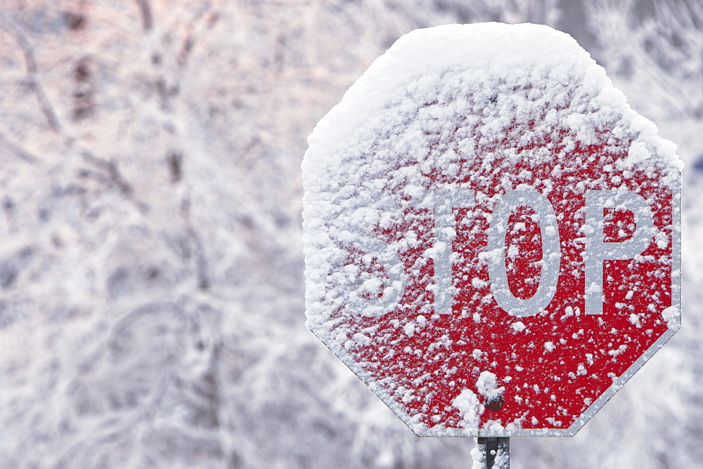 Stop Sign Covered With Snow In Winter, Limehouse, Ontario, Canada