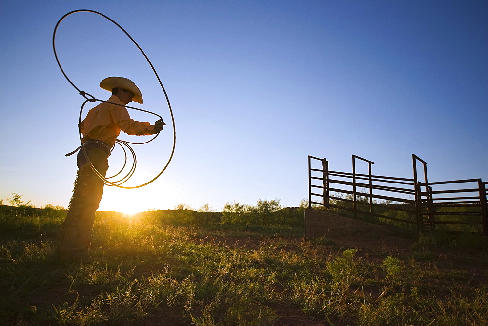 Agriculture - A young cowboy, silhouetted by the setting sun, spins his lariat (aka. lasso rope) / Childress, Texas, USA.