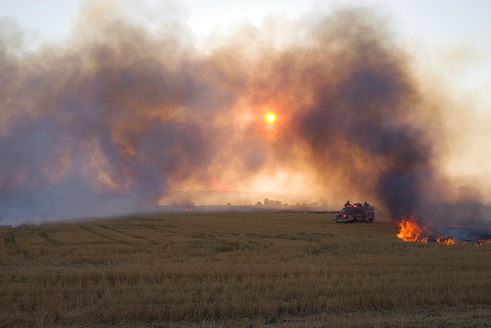 Agriculture - Field of wheat stubble being burned after the harvest to control diseases, reduce weed competition and to make the next planting easier. Volunteer fire fighters use the burning for training / near Williams, California, USA.