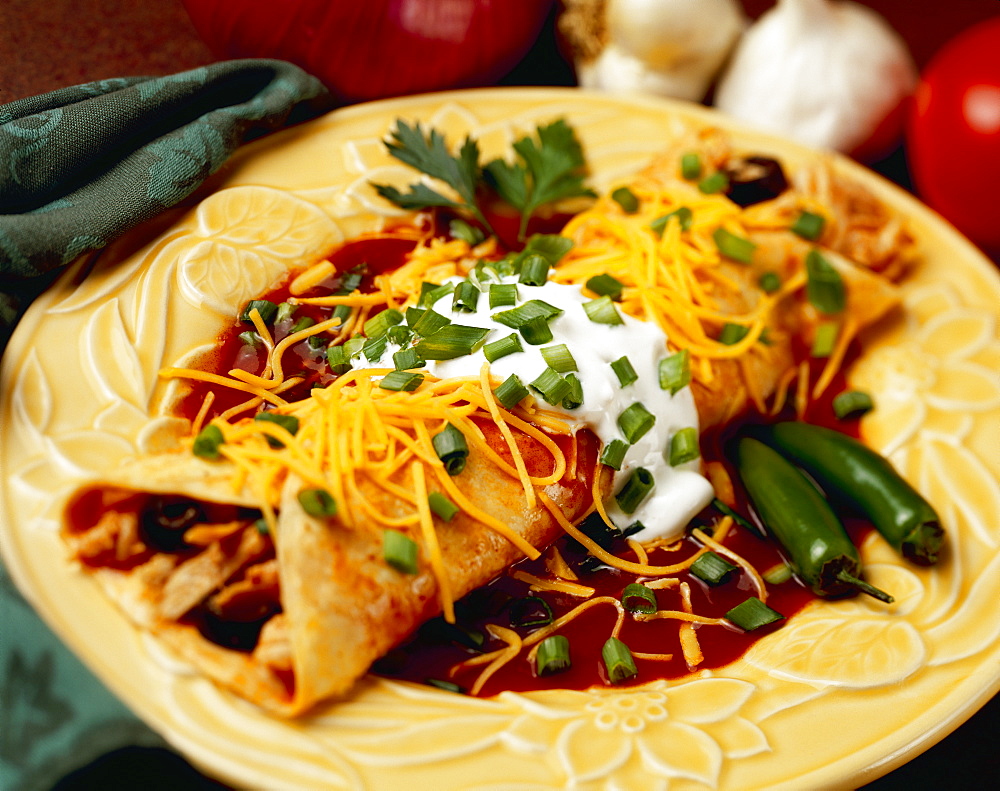 Food - Chicken and Cheese Enchilada garnished with chopped green onions (scallions), enchilada sauce and jalape