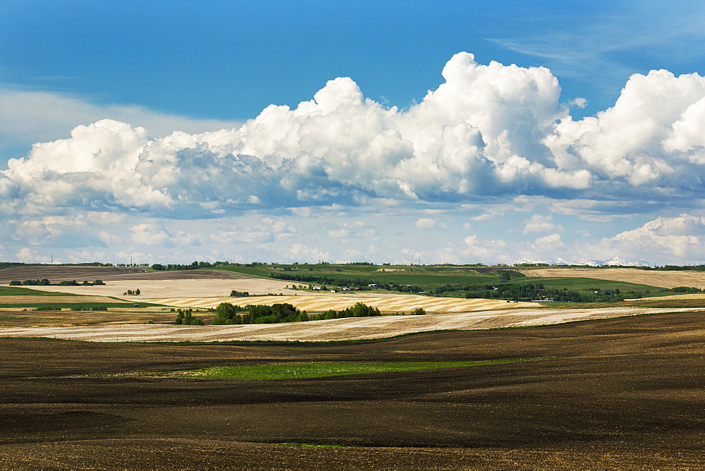 Rolling Hills With Fields Of Soil And Stubble Lines With Storm Clouds And Blue Sky, Alberta, Canada