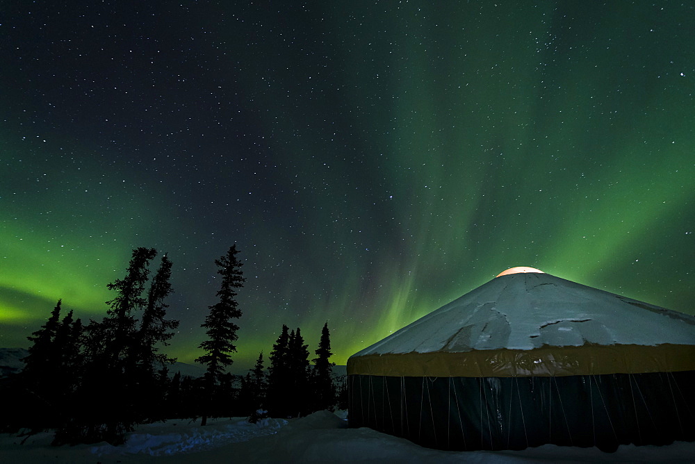 The Bright Neon Green Aurora Illuminates Above A Yurt In The Boreal Forest, Chena River State Recreation Area, Fairbanks, Alaska, United States Of America