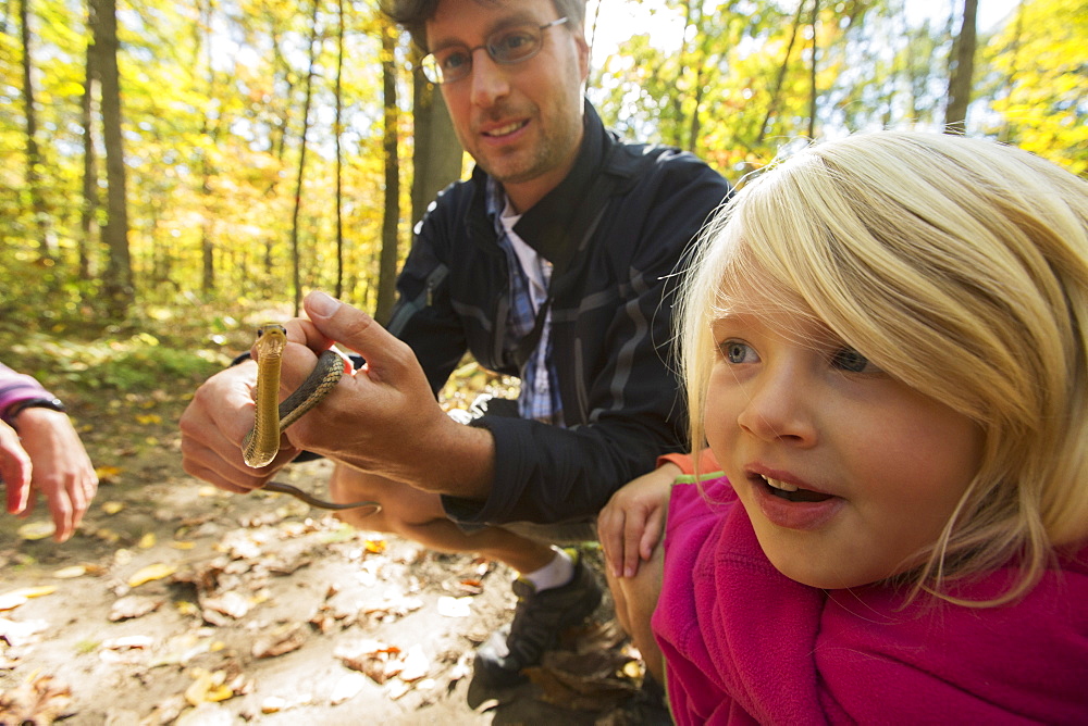 Young Girl Is Fascinated By A Garter Snake Held By Her Father, Ontario, Canada