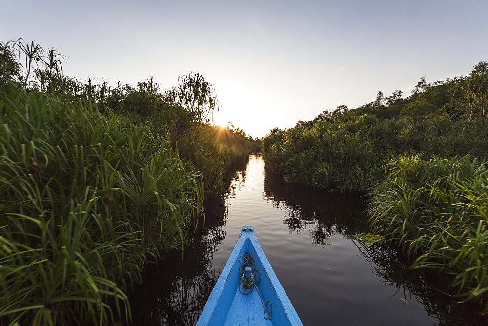 Boat On The Sekonyer River, Tanjung Puting National Park, Central Kalimantan, Borneo, Indonesia