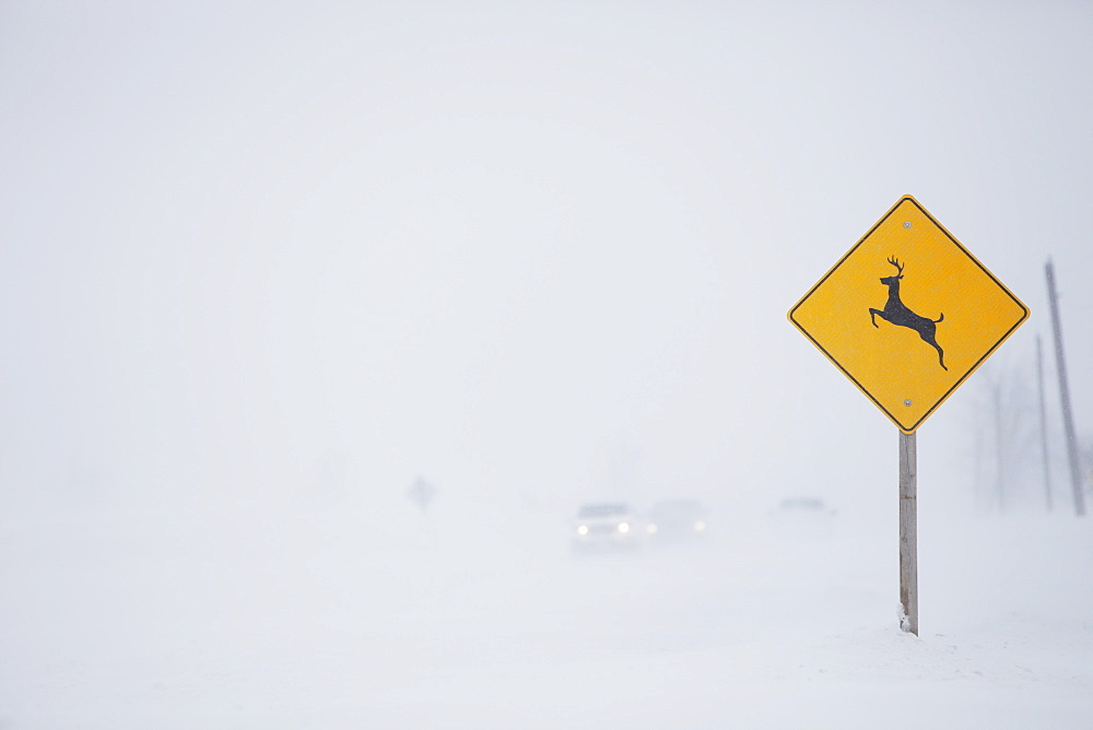 Snow Squall Along Mississauga Road With Deer Crossing Sign, Caledon, Ontario, Canada