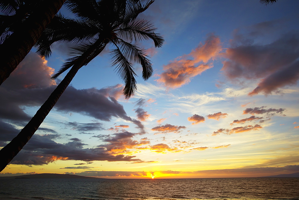 Silhouette Of Palm Trees At Sunset At Keawekapu Beach, Kihei, Maui, Hawaii, United States Of America