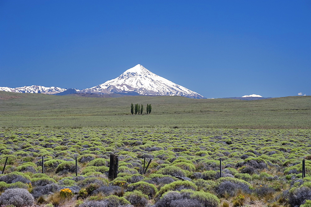 Lanin Volcano, Neuquen Province, Argentina