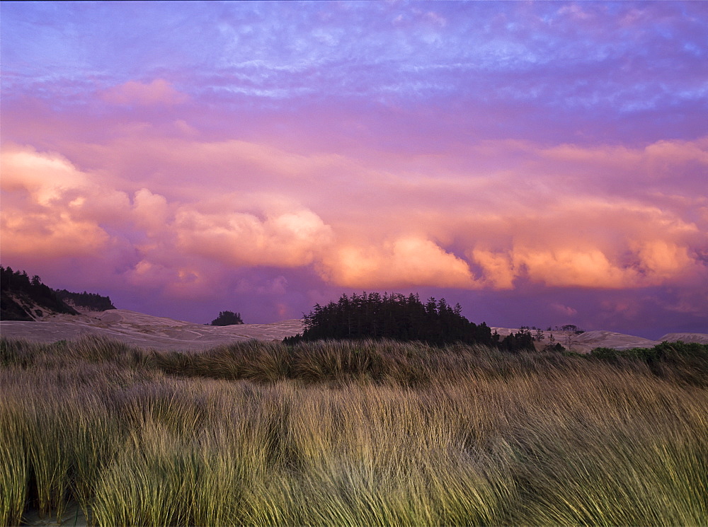 Clouds Catch Light From The Setting Sun, Lakeside, Oregon, United States Of America