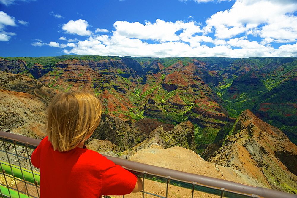 A Child Looks Over A Railing At Waimea Canyon, Kauai, Hawaii, United States Of America