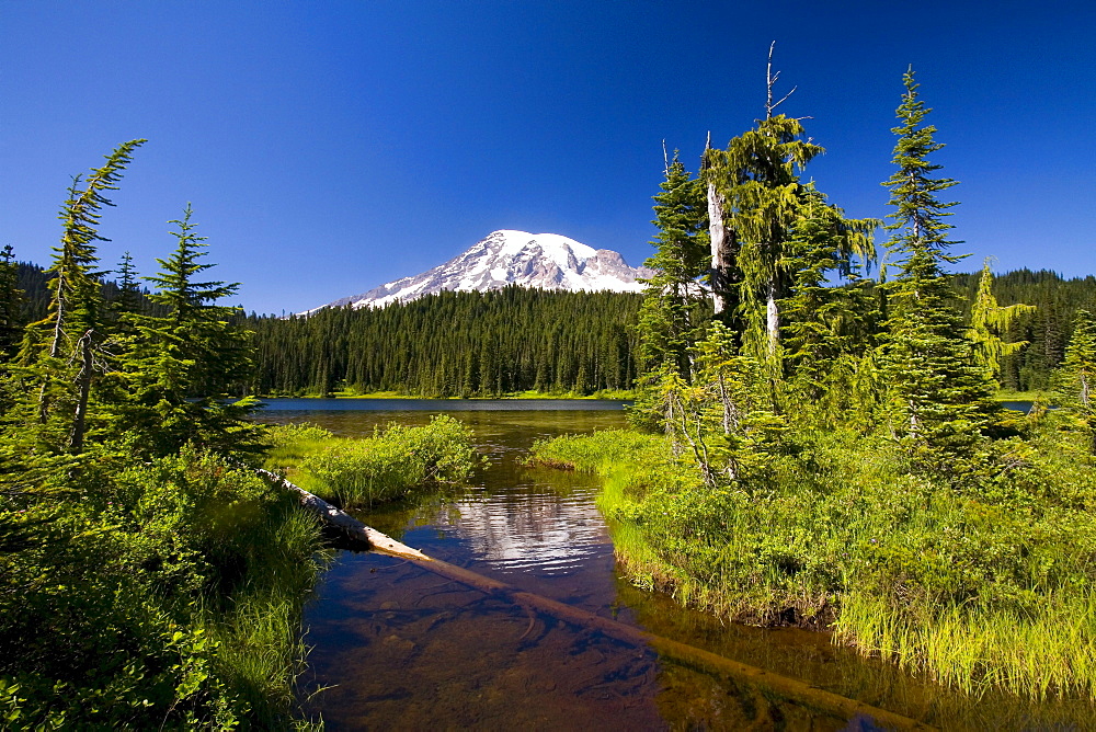 Mount Rainier, Mount Rainier National Park, Washington, United States Of America