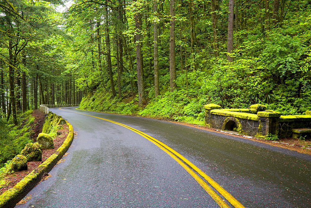 Road, Columbia River Gorge, Oregon, United States Of America