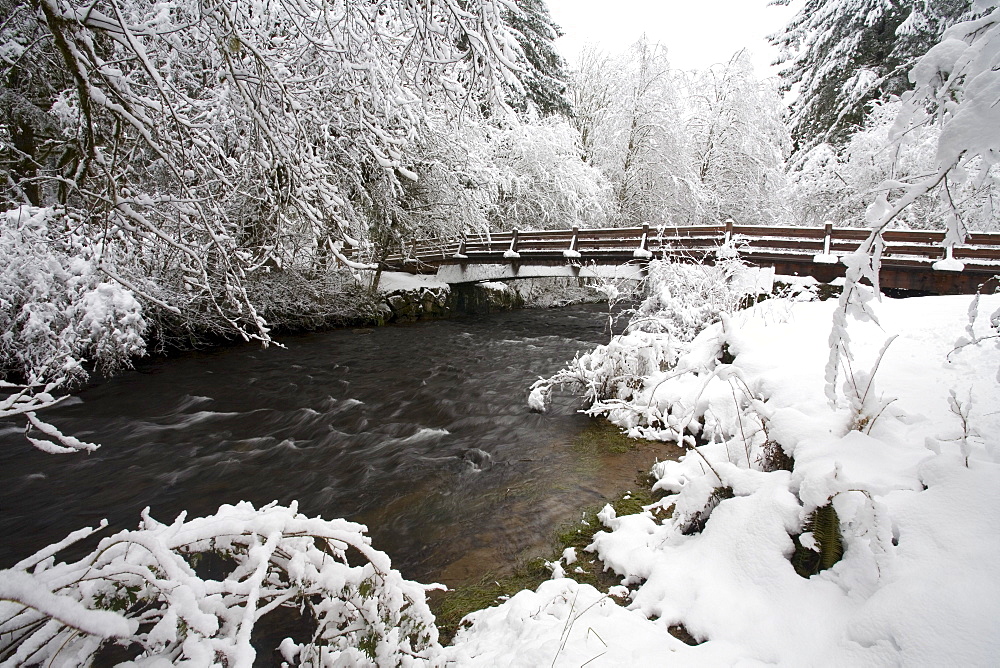 Winter Scene, Oregon, United States Of America