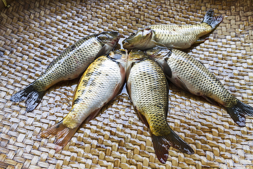 Fish For Sale At The Bolu Market, Rantepao, Toraja Land, South Sulawesi, Indonesia