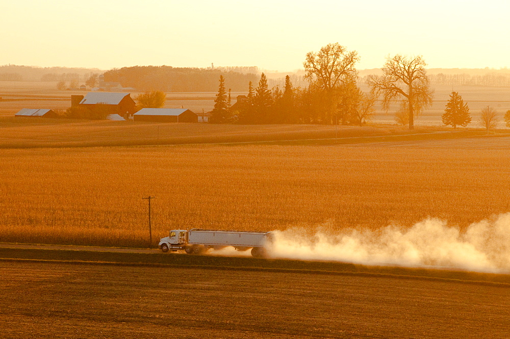 A Grain Truck Hauls Newly Harvested Grain Along A Dusty Country Road In Late Afternoon Light, Near Blue Earth, Minnesota, United States Of America