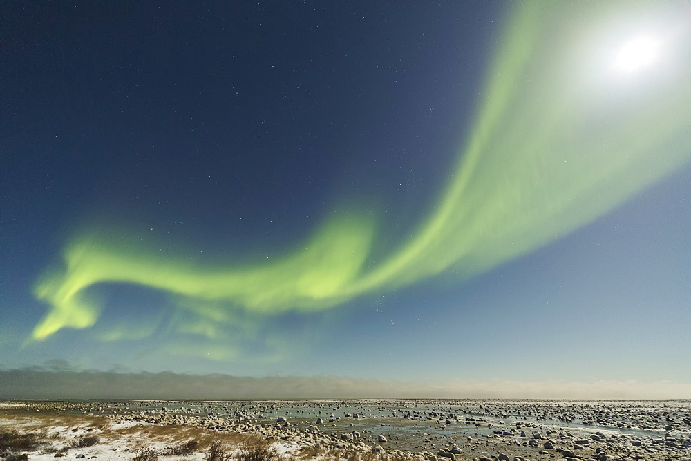 Aurora Borealis Over Hudson Bay, Manitoba, Canada