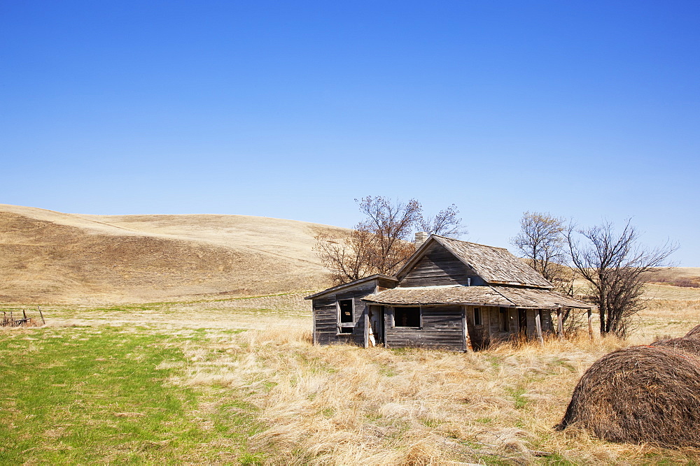 Lonely, Dilapitated, Abandoned Homestead On The Prairies Surrounded By Dying Grass, Trees And Hay Bales, Carbon, Alberta, Canada