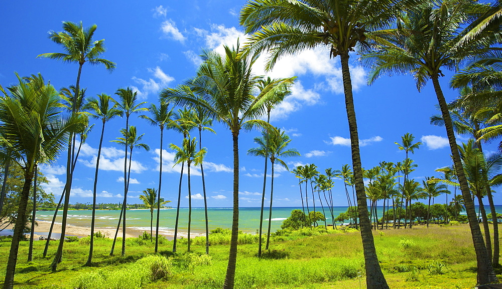 Wailau Bay, Kauai, Hawaii, United States Of America