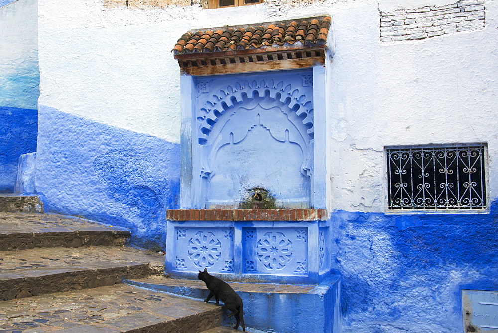 Black Cat Walking Up Stairs Past Water Fountain, Chefchaouen, Morocco