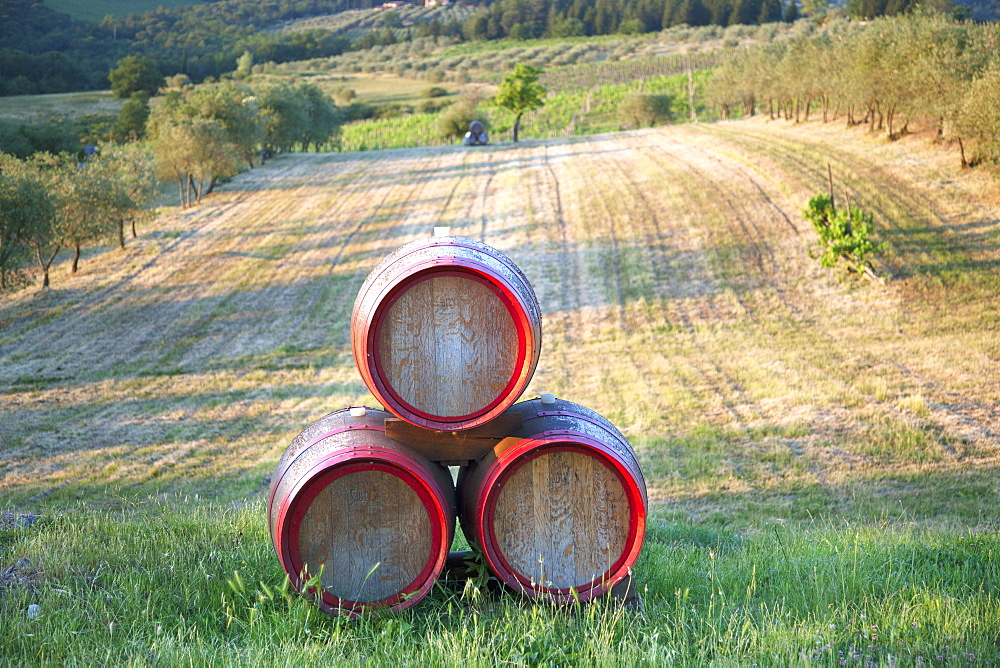 Chianti Wine Barrels, Tuscany, Italy