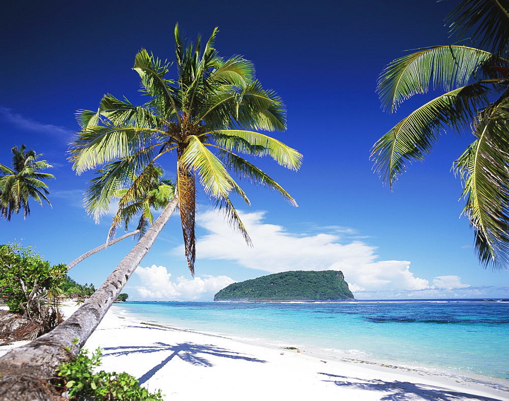 Southeast Coast Of Upolu Island, Upolu Island, Samoa