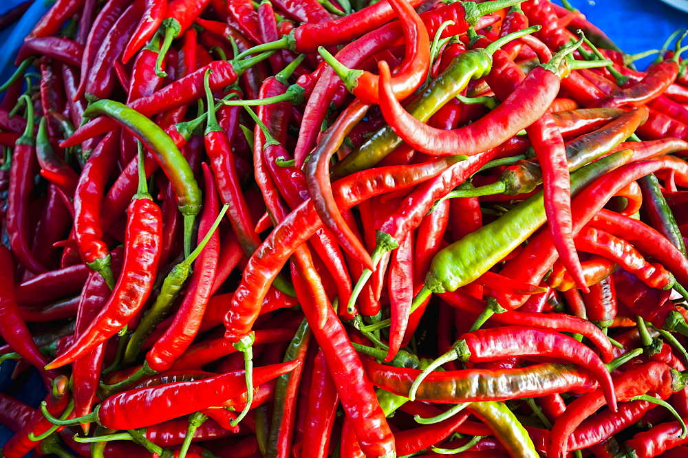 Chillies In Local Market, Bandar Seri Begawan, Darassalam, Brunei