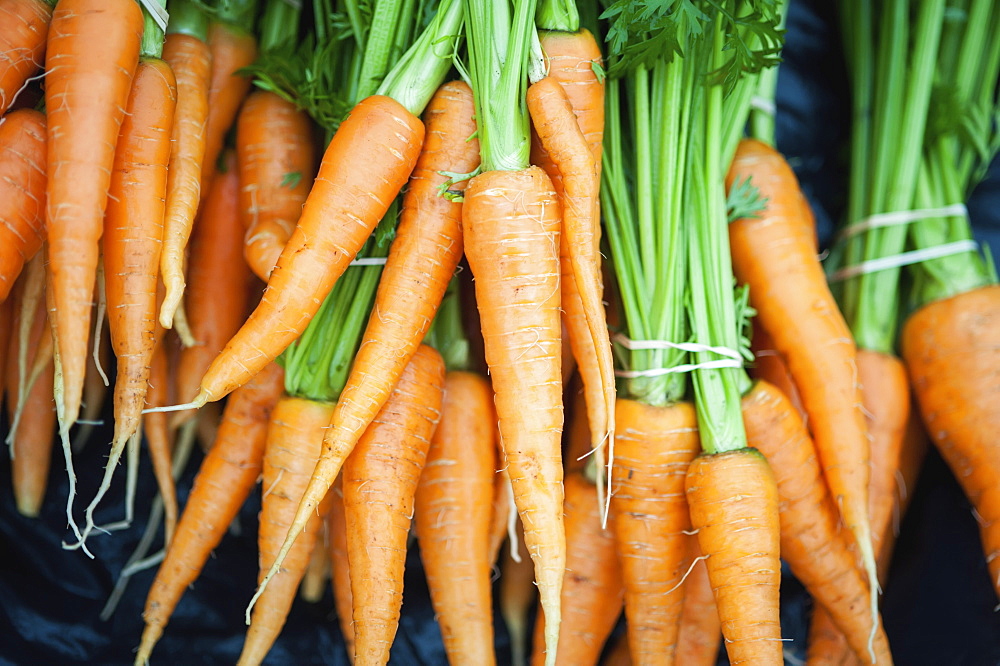 Bundles Of Freshly Picked Carrots, Palmer, Alaska, United States Of America