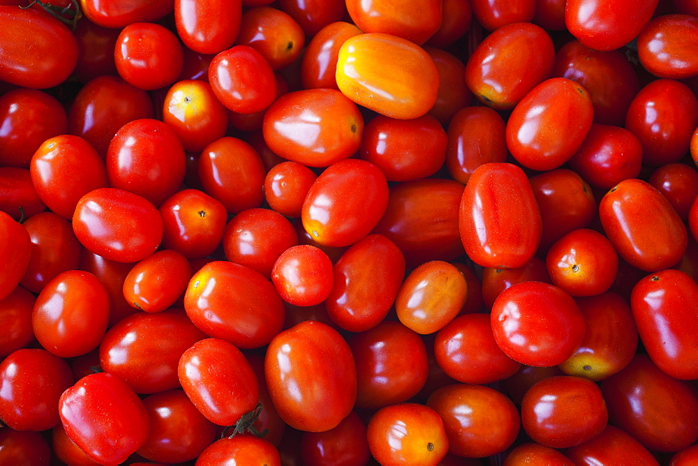 Tomatoes At A Roadside Stand, Dunham, Quebec, Canada