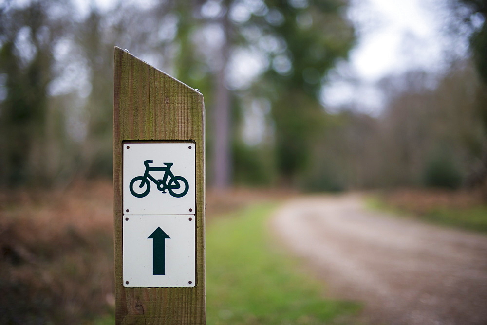 Sign Post For Bike Trail In New Forest National Park, Hampshire, England