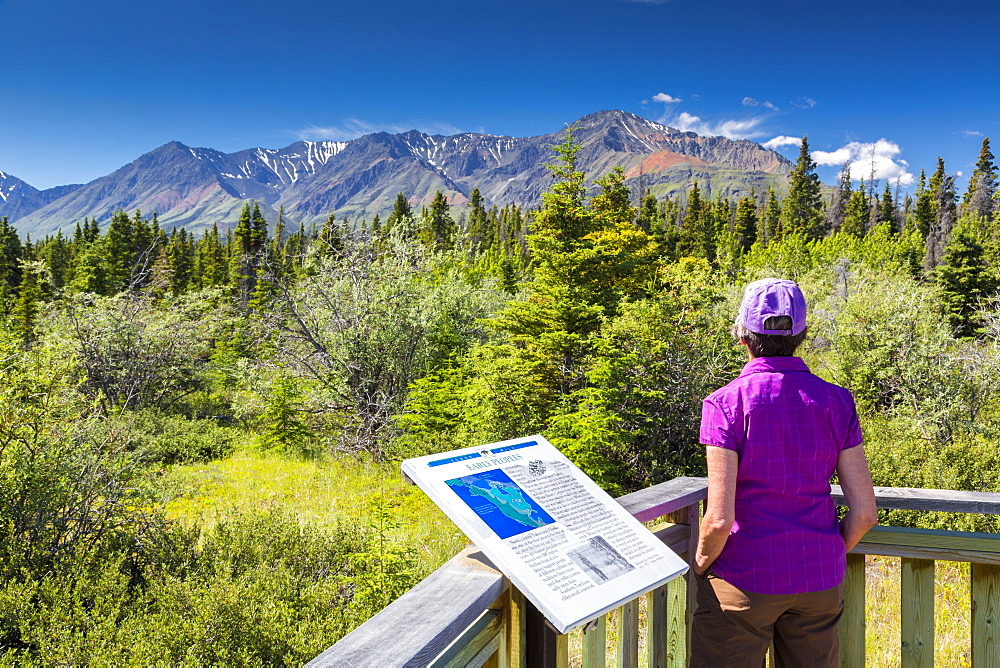 Tourist View Scenery While At A "early Peoples" Overlook, Kluane Lake Provincial Park, Yukon Territory, Canada