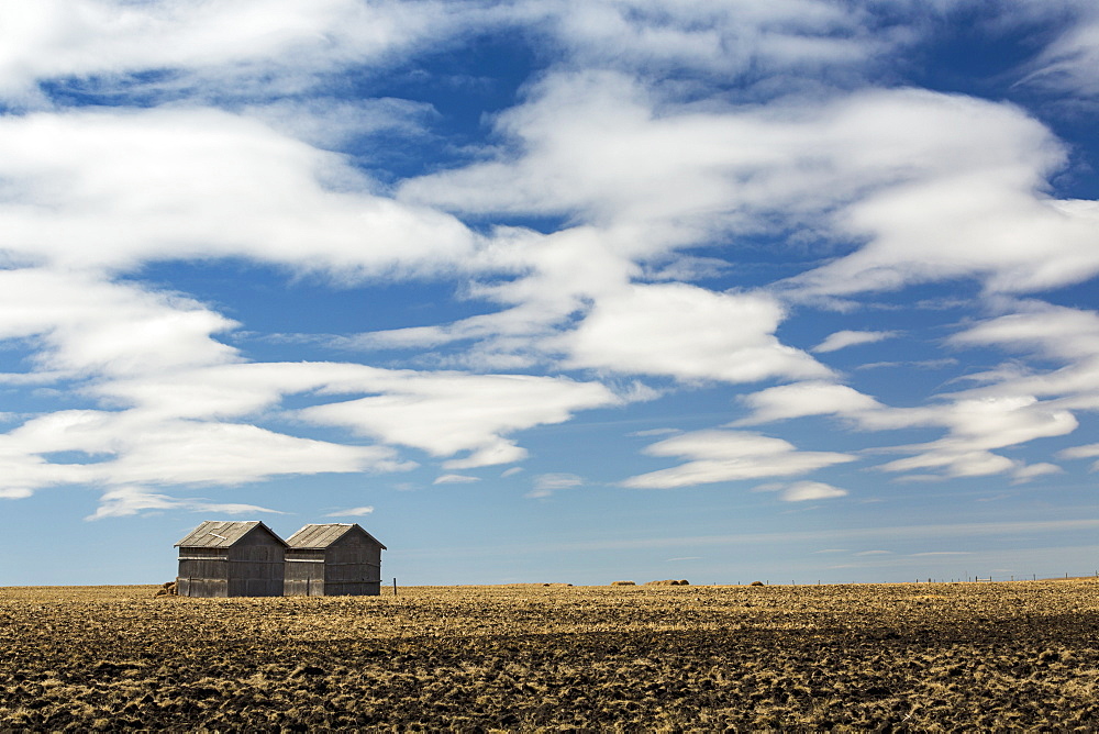 Two Wooden Sheds In A Stubble Field With Dramatic Clouds And Blue Sky, Alberta, Canada