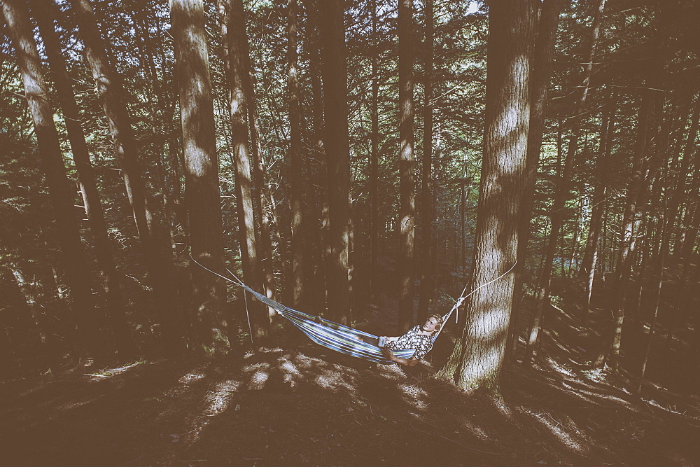 Young Man Laying In A Hammock In A Forest, Little River State Park, Waterbury, Vermont, United States Of America