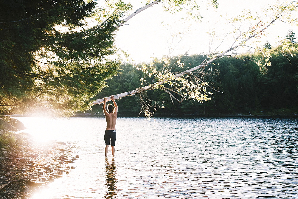 A Young Man Stands At The Edge Of A Lake Holding On To A Leaning Tree, Waterbury, Vermont, United States Of America