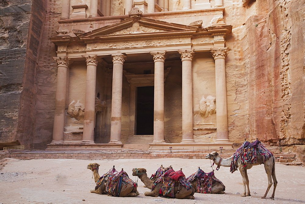 Camels In Front Of The Treasury, Petra, Jordan