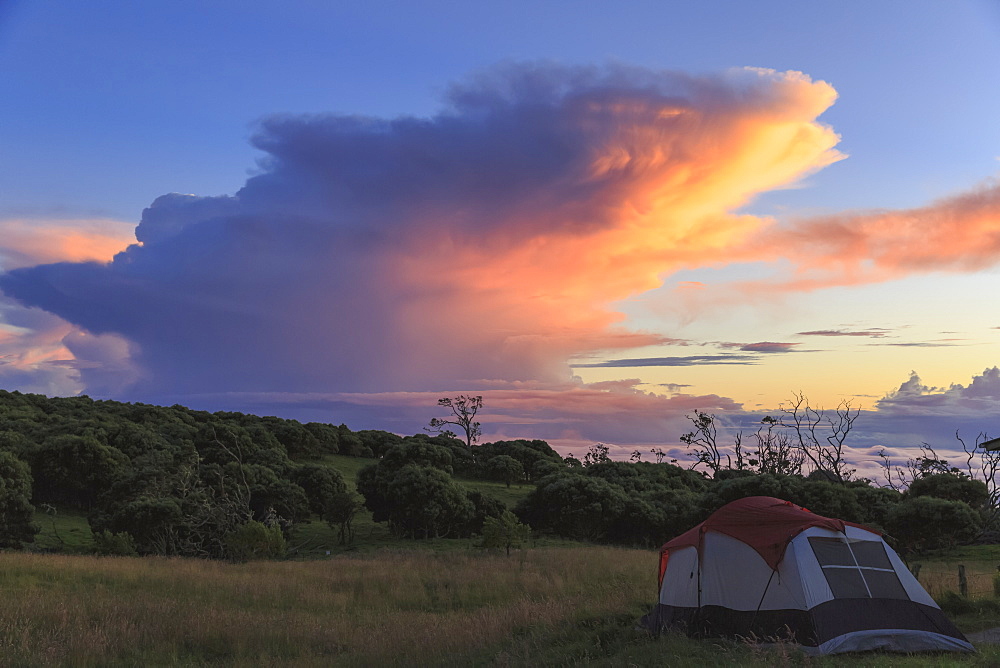 Camp Site At Keanakolu State Park With Cumulonimbus Sunrise Clouds, Island Of Hawaii, Hawaii, United States Of America