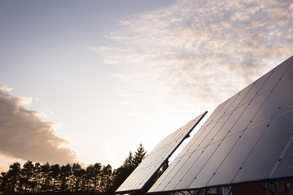 Solar Panels In Field, Bloomfield, Ontario, Canada