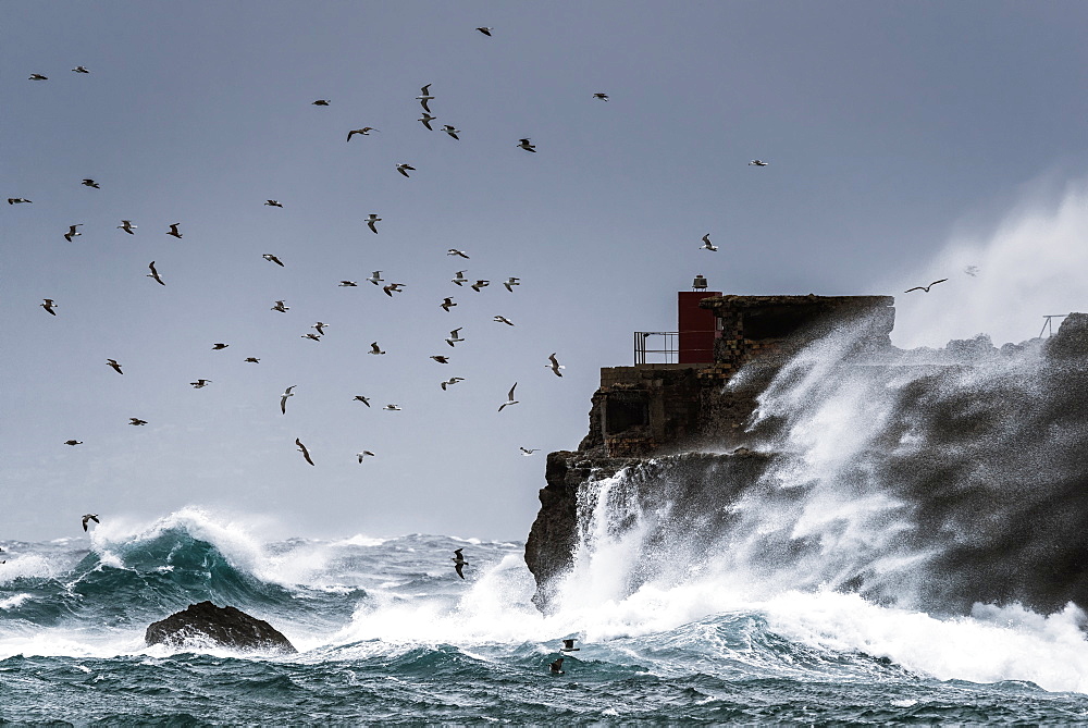 Waves Crashing Against The Rugged Rock Coastline As Birds Fly Overhead Against A Blue Sky, La Isla, Tarifa, Costa De La Luz, Cadiz, Andalusia, Spain