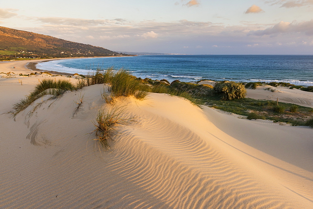 Punta Paloma Sand Dunes, Tarifa, Costa De La Luz, Cadiz, Andalusia, Spain