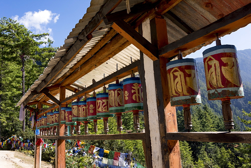 Prayer Wheels And Prayer Flags Along Taktsang Trail, Paro, Bhutan