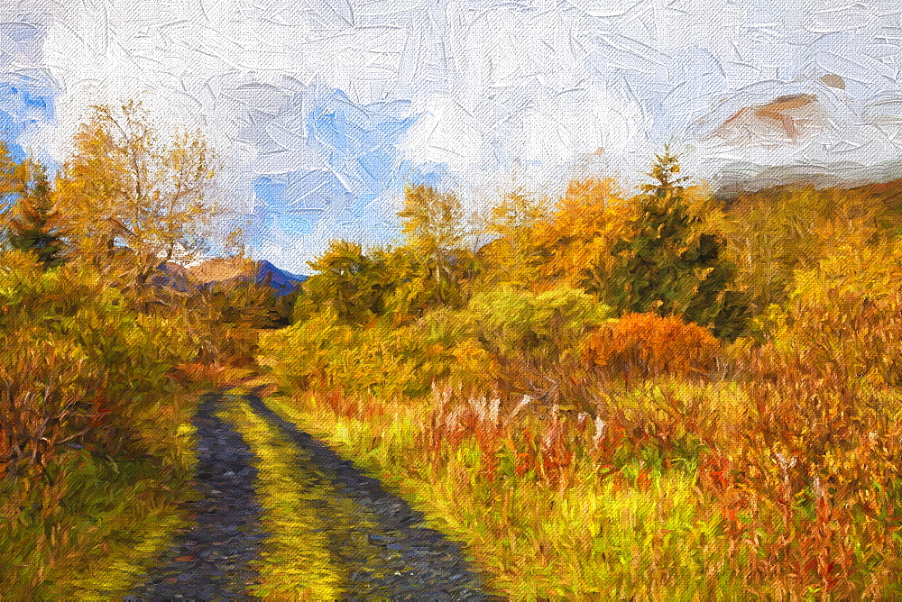 Autumn Scenic Oil Painting Along Chiniak Highway, Kodiak, Alaska, United States Of America