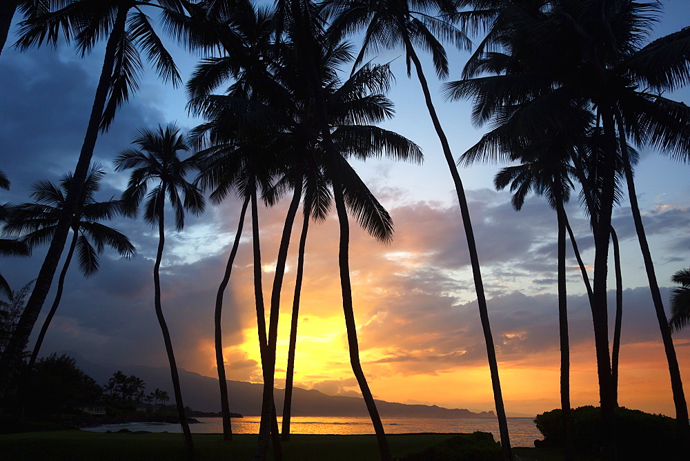 Sunset On The North Shore Of Maui, Spreckelsville, Maui, Hawaii, United States Of America