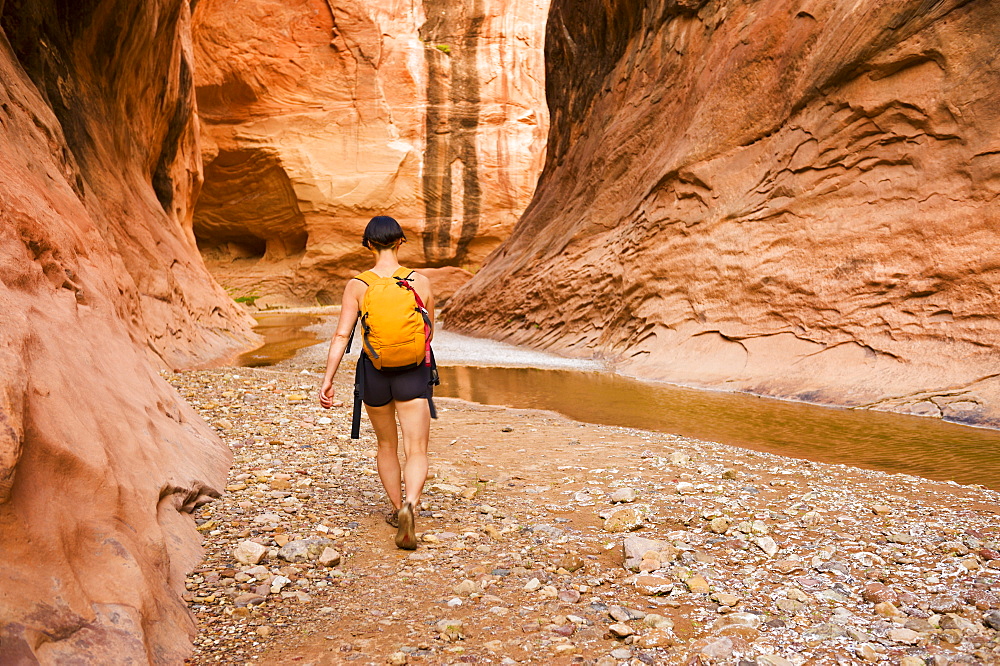 Female Adventurer Exploring A Desert Canyon Narrows, Capitol Reef National Park, Utah, United States Of America