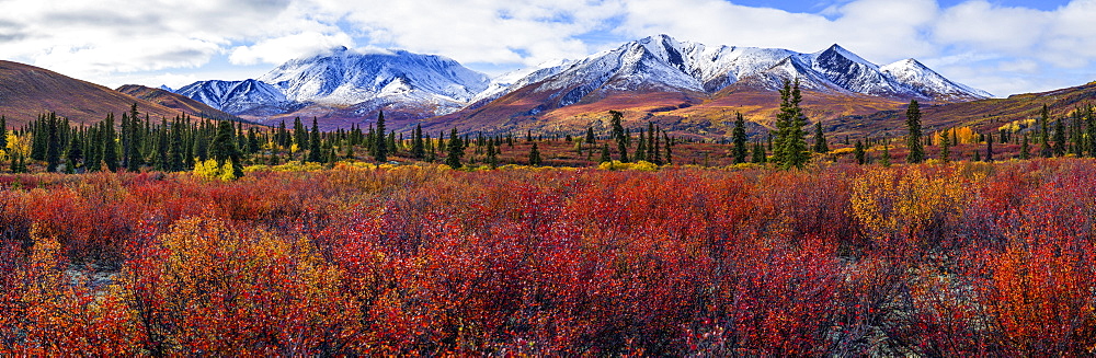 Autumn Colours Brighten The Landscape In Tombstone Territorial Park, Along The Dempster Highway, Yukon, Canada