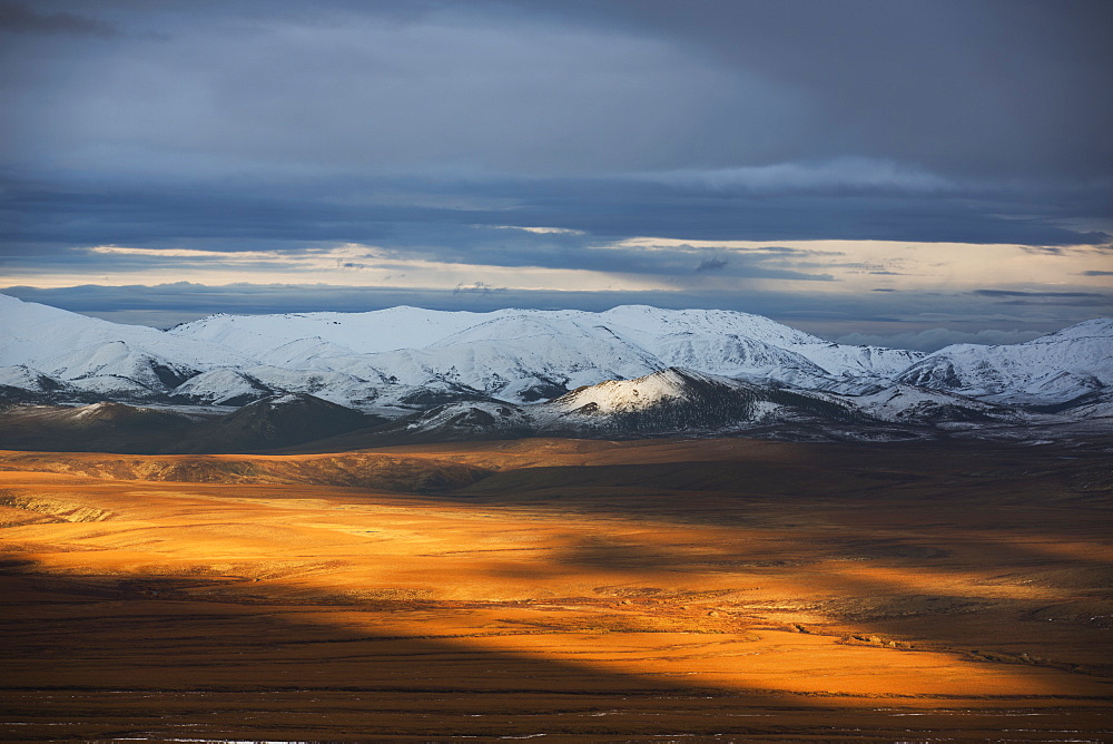 The Late Day Sunshine Illuminates The Autumn Coloured Tundra Along The Dempster Highway, Northwest Territories, Canada