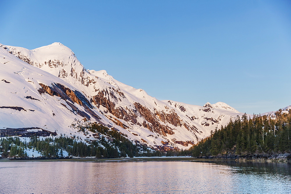 Snow Covered Peaks Rise Above The Calm Waters Of Kings Bay, Prince William Sound, Evergreen Trees In The Foreground, Whittier, Alaska, United States Of America