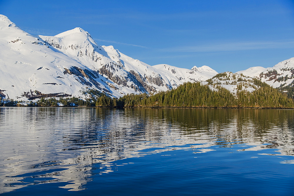 Snow Covered Cliffs And Evergreen Trees Bathed In Sunset Light On The Shore Of Kings Bay, Prince William Sound, Whittier, Alaska, United States Of America