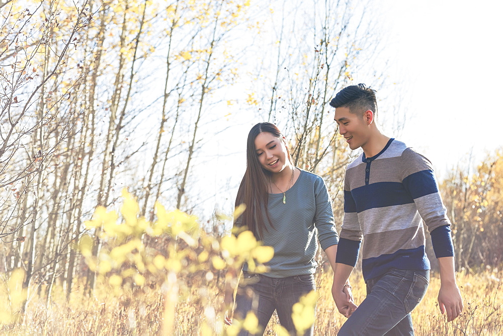 A Young Asian Couple Holding Hands While Walking Through A Park In Autumn And Enjoying The Warmth Of The Sunlight During The Early Evening, Edmonton, Alberta, Canada